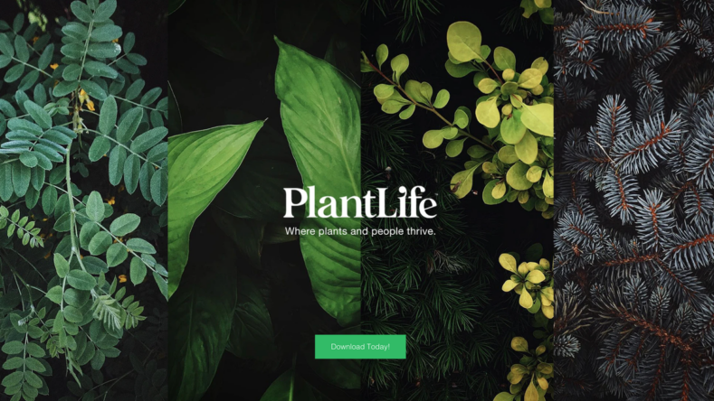соцмережа для домашніх рослин plantlife