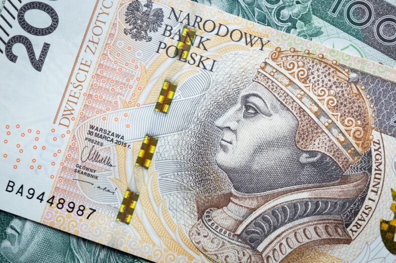 Українці зможуть обміняти готівкову гривню у польських банках — НБУ